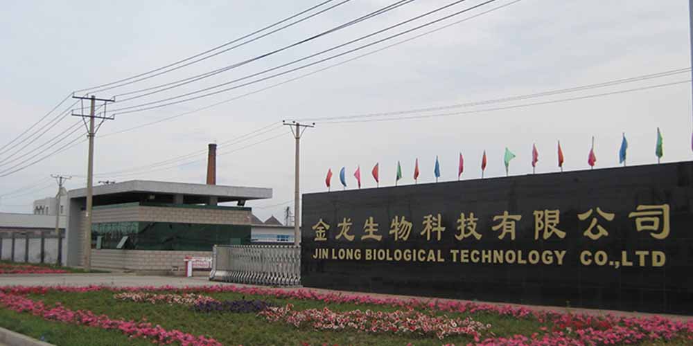 绥化金龙油脂用高服自动排渣过滤机过滤食用油